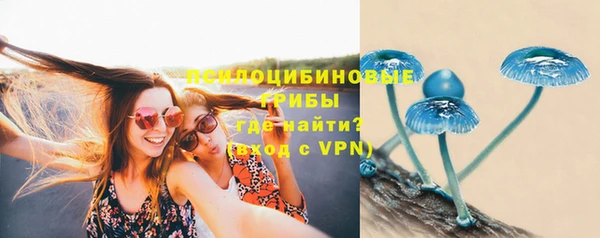 прущая мука Вязьма