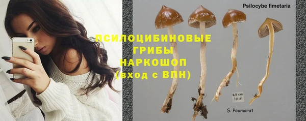 гашишное масло Вяземский