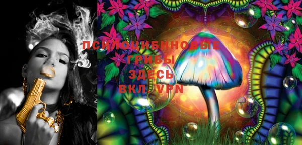 PSILOCYBIN Вязники