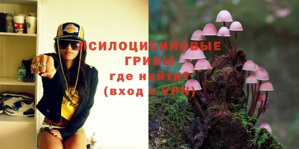 прущая мука Вязьма