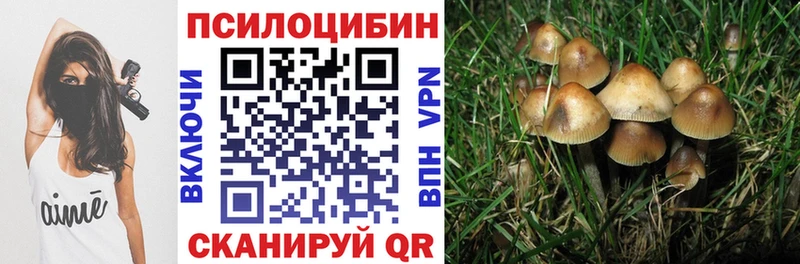 Псилоцибиновые грибы прущие грибы  купить  цена  Пикалёво 